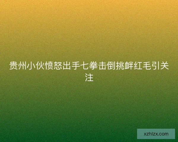 贵州小伙愤怒出手七拳击倒挑衅红毛引关注